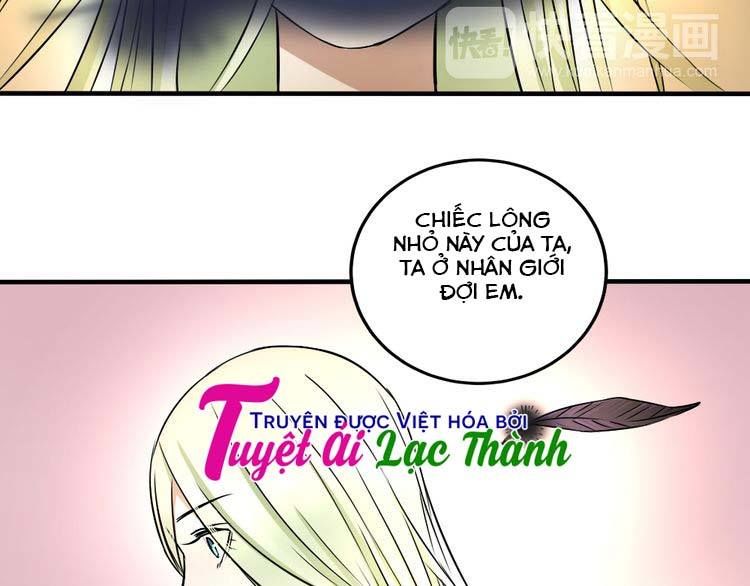 Nụ Hôn Hắc Vũ Chapter 31 - 41