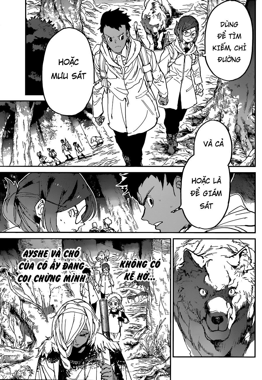 The Promised Neverland Chapter 138 - 12