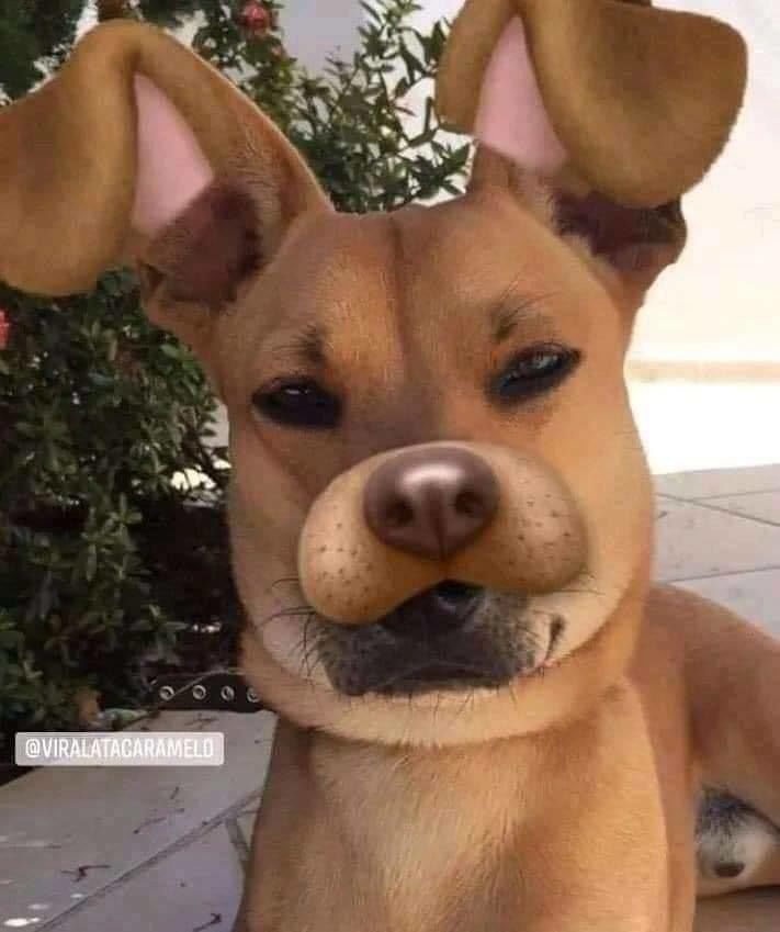 Thanh Gươm Diệt Quỷ Chapter 170 - 21