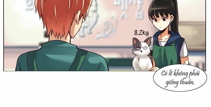 Dear, Only You Don’t Know! Chapter 22 - 14