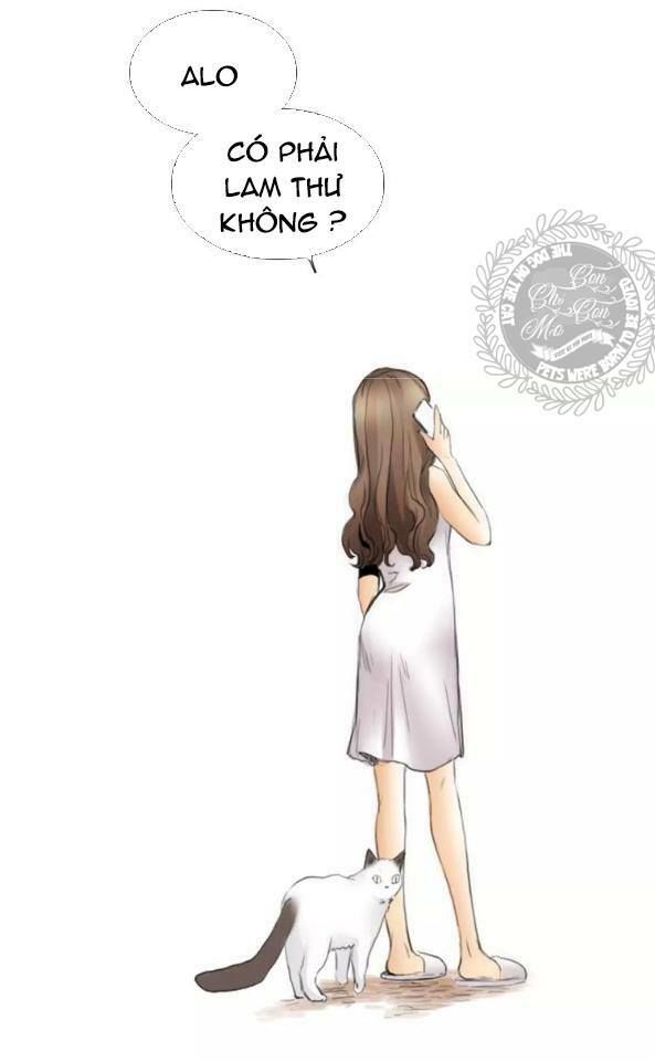 Quả Bóng Màu Vàng Chapter 18 - 16