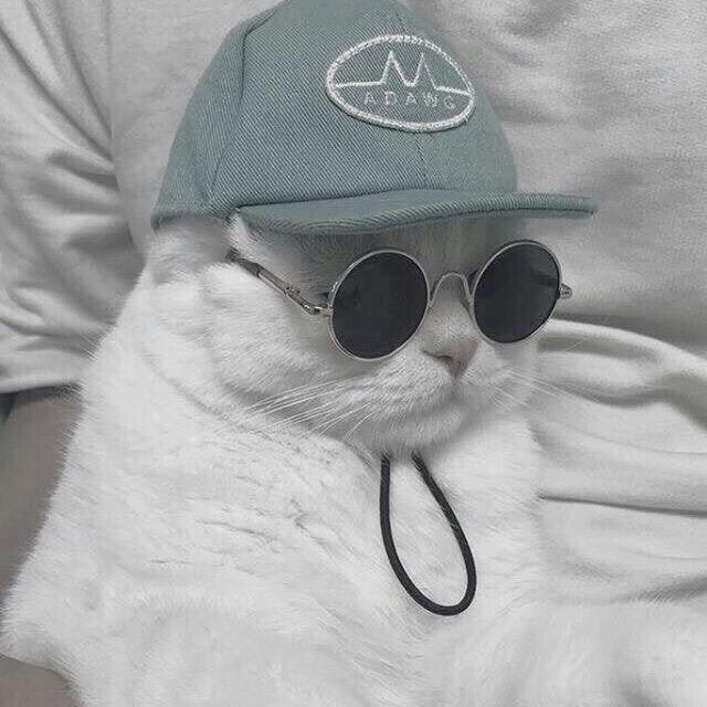 Dr.stone Chapter 108 - 23