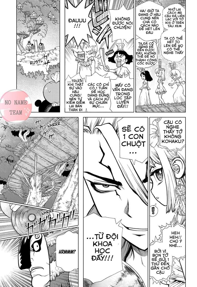 Dr.stone Chapter 113 - 4