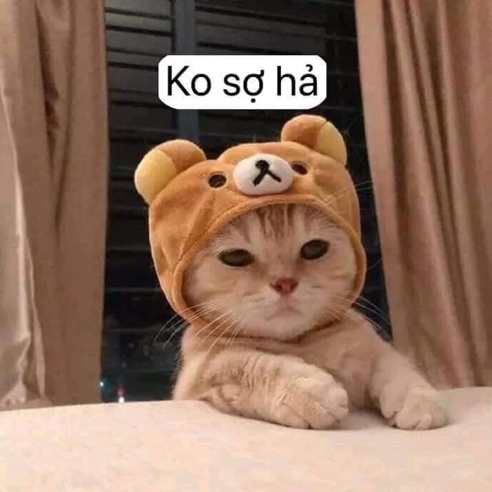 Dr.stone Chapter 114 - 20