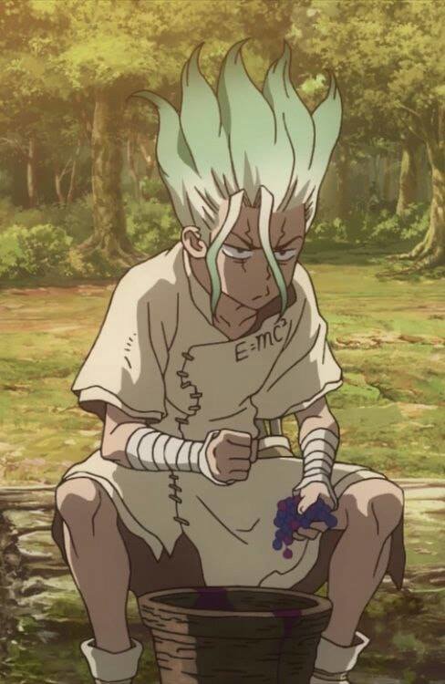 Dr.stone Chapter 115 - 20