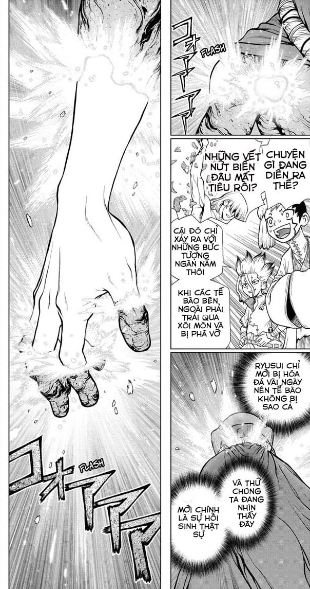 Dr.stone Chapter 116 - 17