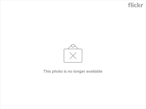 Kuutei Dragons Chapter 12 - 41