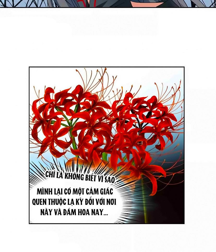 Tầm Trảo Tiền Thế Chi Lữ Chapter 184.2 - 14