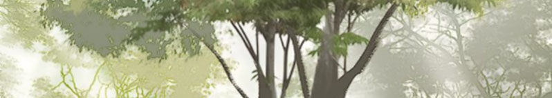 Nguyệt Trầm Ngâm Chapter 120 - 7