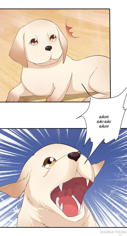 Bác Sĩ Sở Cũng Muốn Yêu Chapter 160 - 11