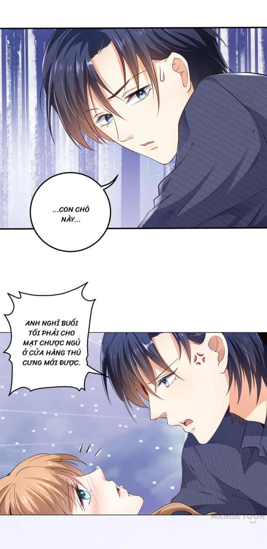 Bác Sĩ Sở Cũng Muốn Yêu Chapter 160 - 13