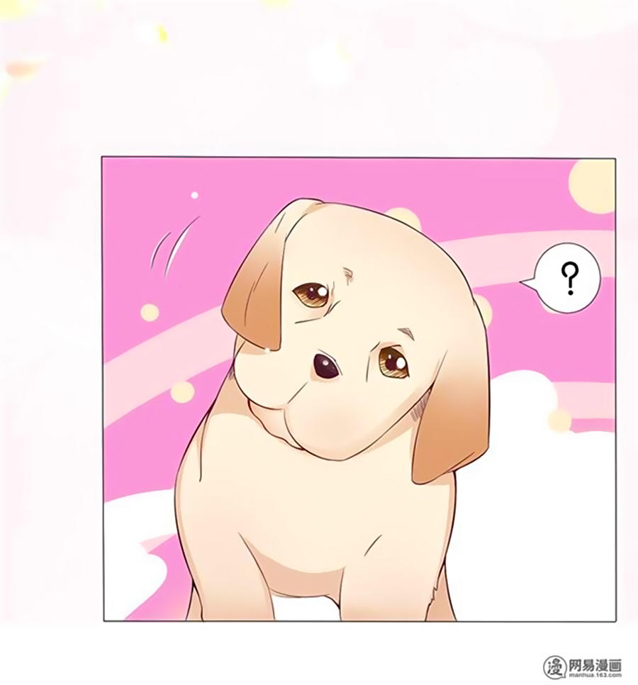 Bác Sĩ Sở Cũng Muốn Yêu Chapter 161 - 12