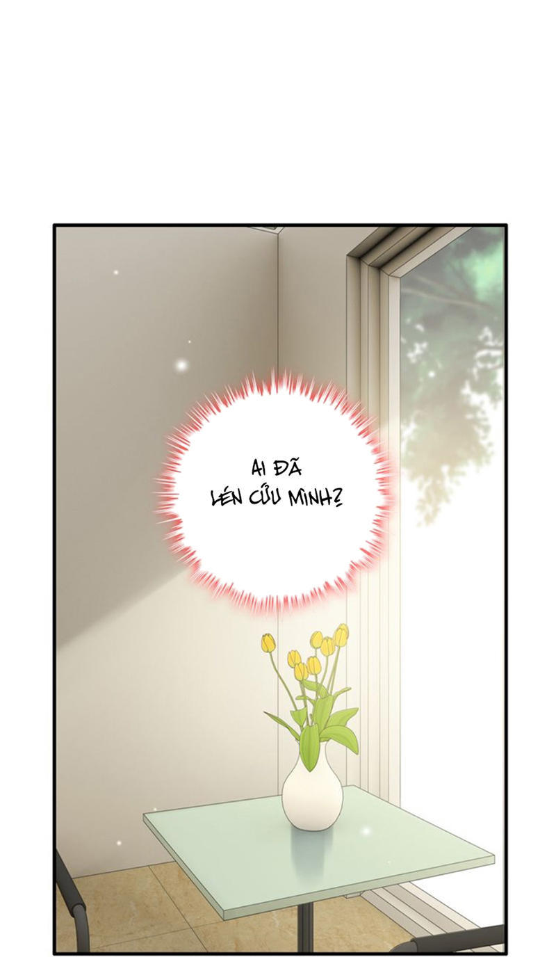 Cô Vợ Hợp Đồng Bỏ Trốn Của Tổng Giám Đốc Chapter 105 - 4