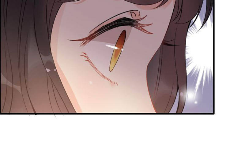 Cô Vợ Hợp Đồng Bỏ Trốn Của Tổng Giám Đốc Chapter 111 - 12