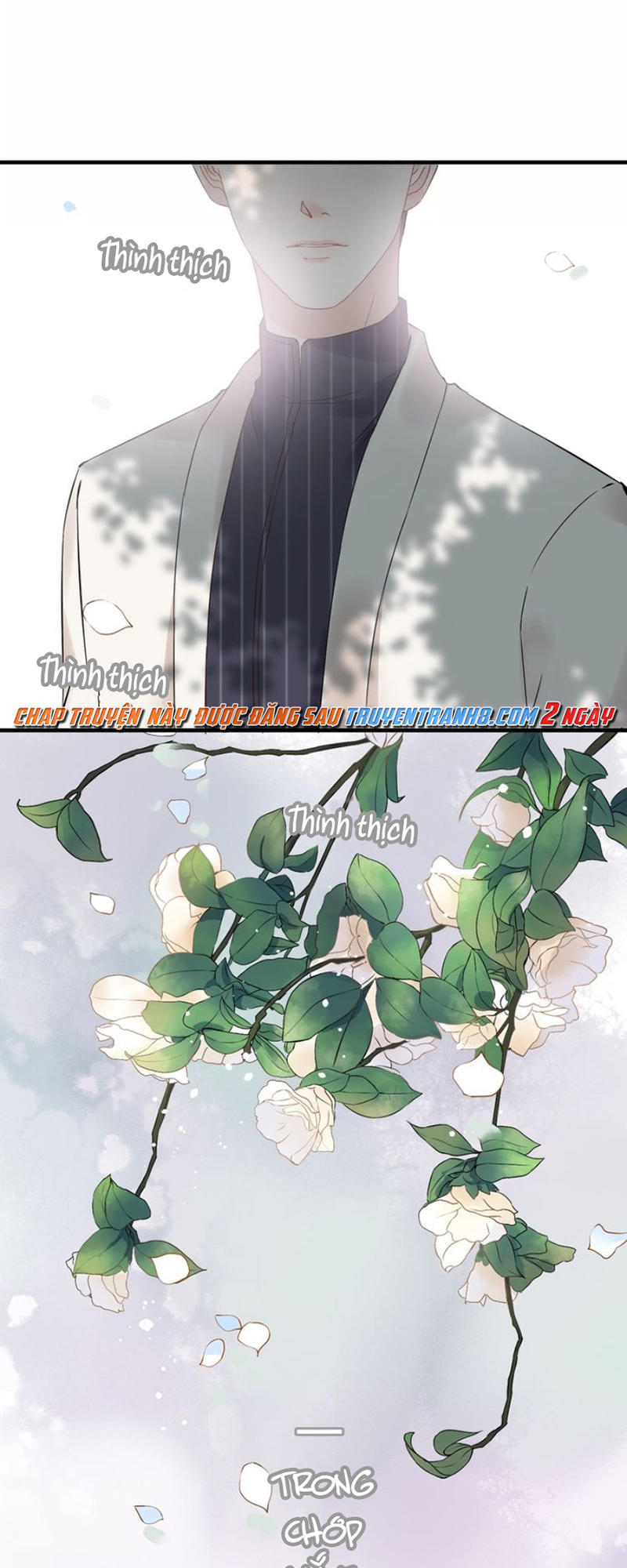 Cô Vợ Hợp Đồng Bỏ Trốn Của Tổng Giám Đốc Chapter 128 - 25