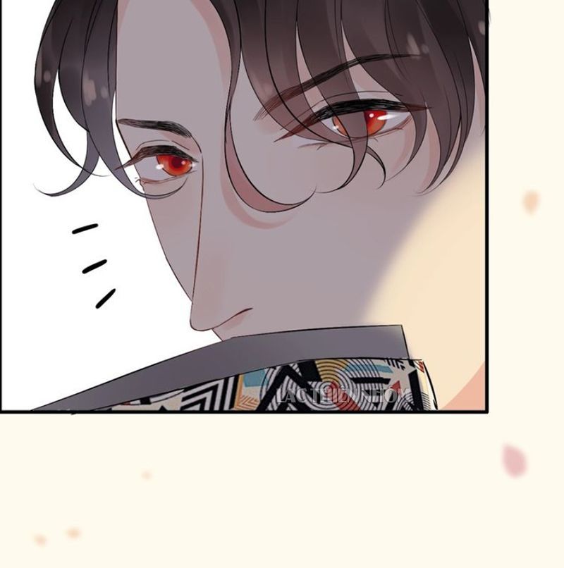 Cô Vợ Hợp Đồng Bỏ Trốn Của Tổng Giám Đốc Chapter 162 - 14