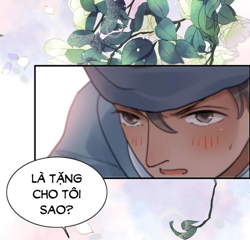 Cô Vợ Hợp Đồng Bỏ Trốn Của Tổng Giám Đốc Chapter 175 - 29