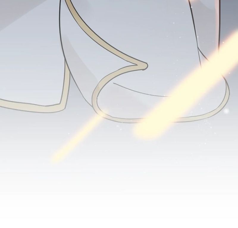 Cô Vợ Hợp Đồng Bỏ Trốn Của Tổng Giám Đốc Chapter 192 - 76