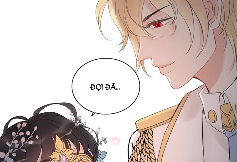 Cô Vợ Hợp Đồng Bỏ Trốn Của Tổng Giám Đốc Chapter 193 - 12