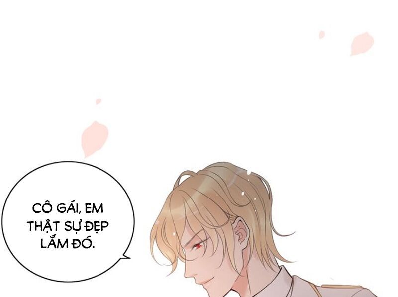 Cô Vợ Hợp Đồng Bỏ Trốn Của Tổng Giám Đốc Chapter 193 - 18
