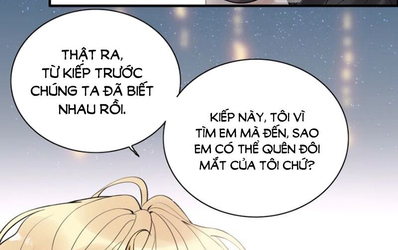 Cô Vợ Hợp Đồng Bỏ Trốn Của Tổng Giám Đốc Chapter 193 - 33