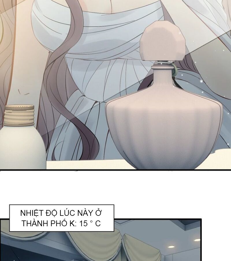 Cô Vợ Hợp Đồng Bỏ Trốn Của Tổng Giám Đốc Chapter 194 - 10