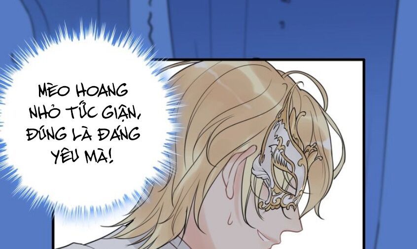 Cô Vợ Hợp Đồng Bỏ Trốn Của Tổng Giám Đốc Chapter 195 - 78