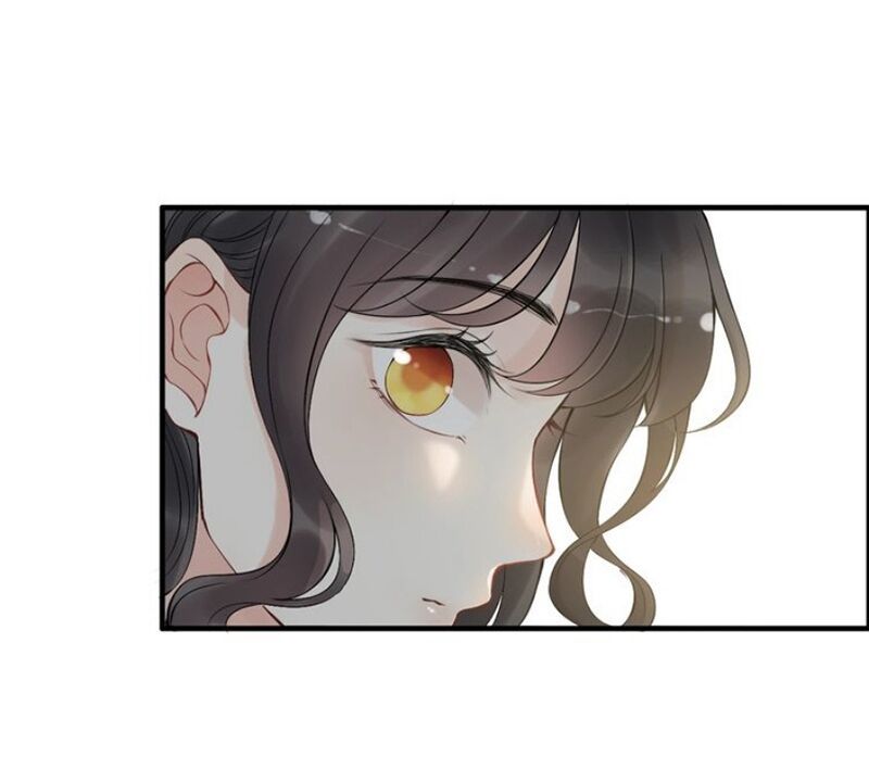 Cô Vợ Hợp Đồng Bỏ Trốn Của Tổng Giám Đốc Chapter 196 - 31