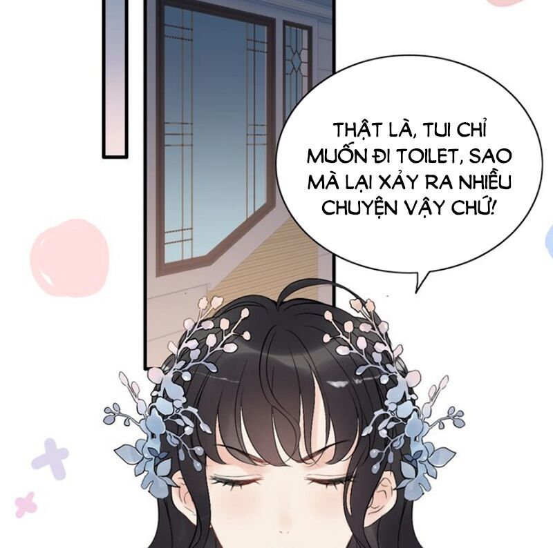 Cô Vợ Hợp Đồng Bỏ Trốn Của Tổng Giám Đốc Chapter 196 - 5