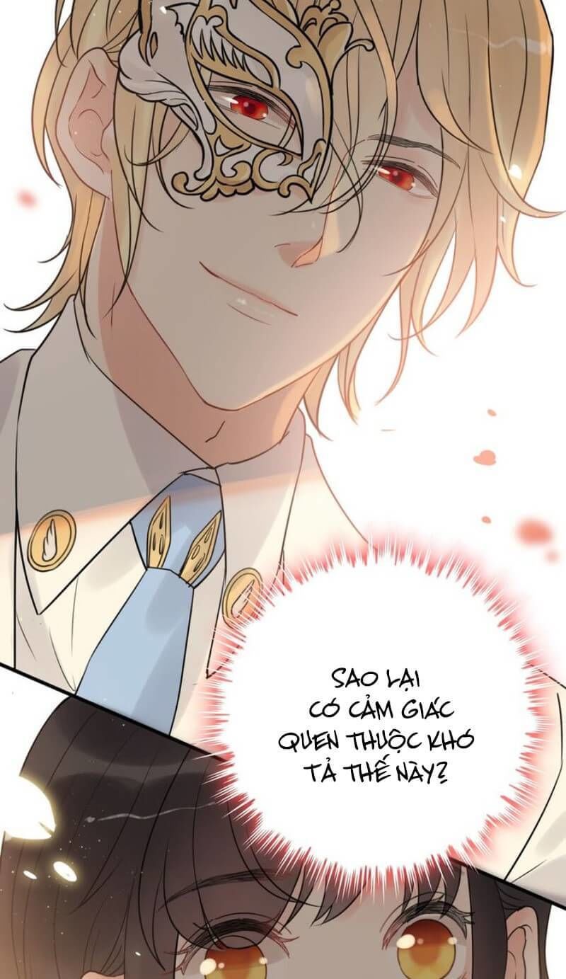 Cô Vợ Hợp Đồng Bỏ Trốn Của Tổng Giám Đốc Chapter 197 - 28