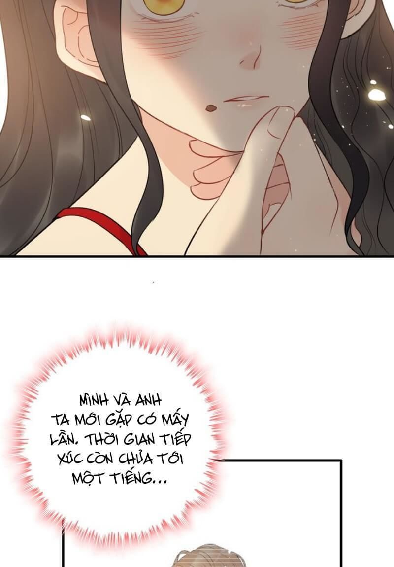 Cô Vợ Hợp Đồng Bỏ Trốn Của Tổng Giám Đốc Chapter 197 - 29