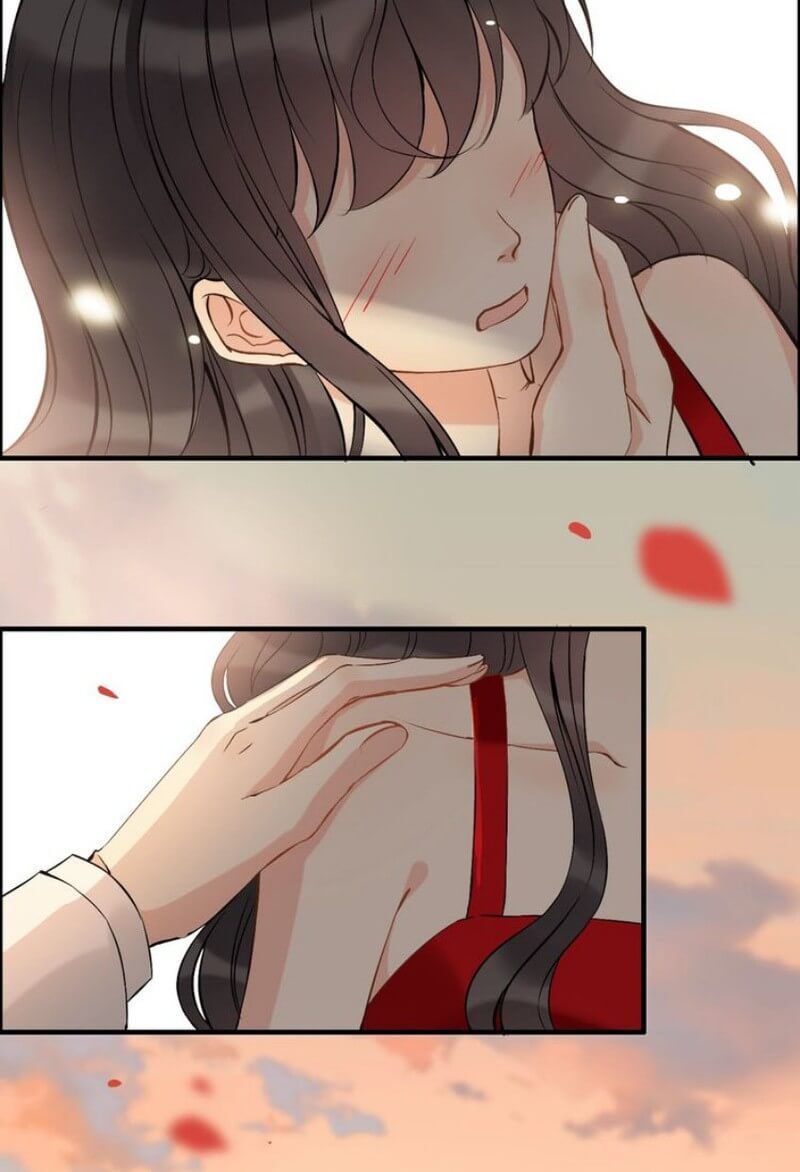 Cô Vợ Hợp Đồng Bỏ Trốn Của Tổng Giám Đốc Chapter 197 - 33