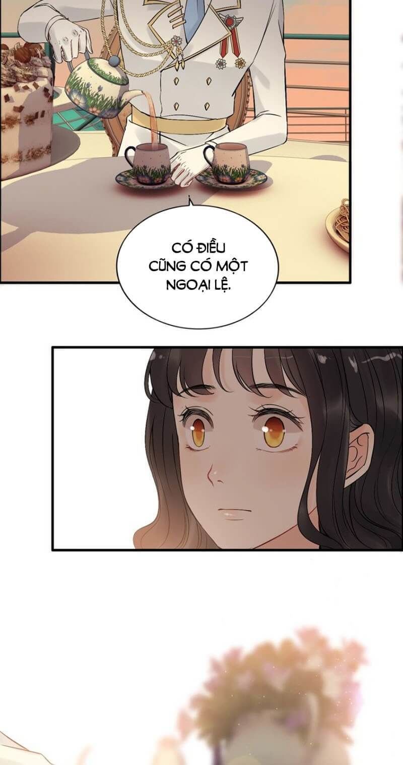 Cô Vợ Hợp Đồng Bỏ Trốn Của Tổng Giám Đốc Chapter 197 - 5