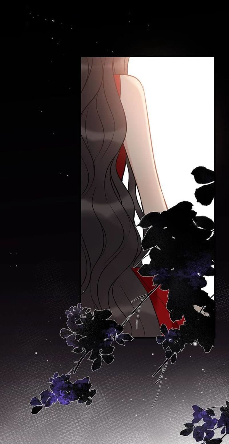 Cô Vợ Hợp Đồng Bỏ Trốn Của Tổng Giám Đốc Chapter 197 - 42