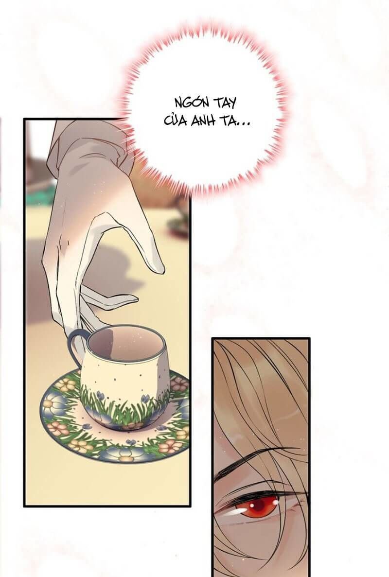 Cô Vợ Hợp Đồng Bỏ Trốn Của Tổng Giám Đốc Chapter 197 - 8