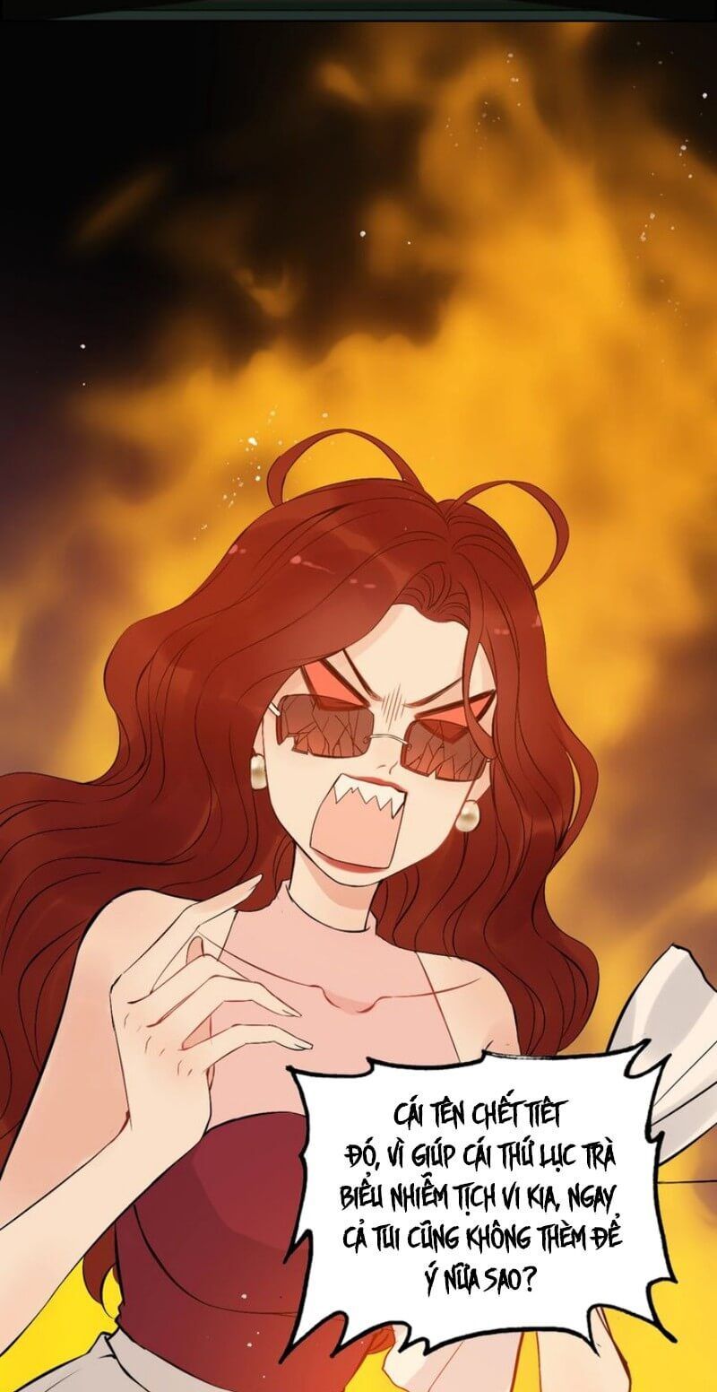 Cô Vợ Hợp Đồng Bỏ Trốn Của Tổng Giám Đốc Chapter 202 - 17