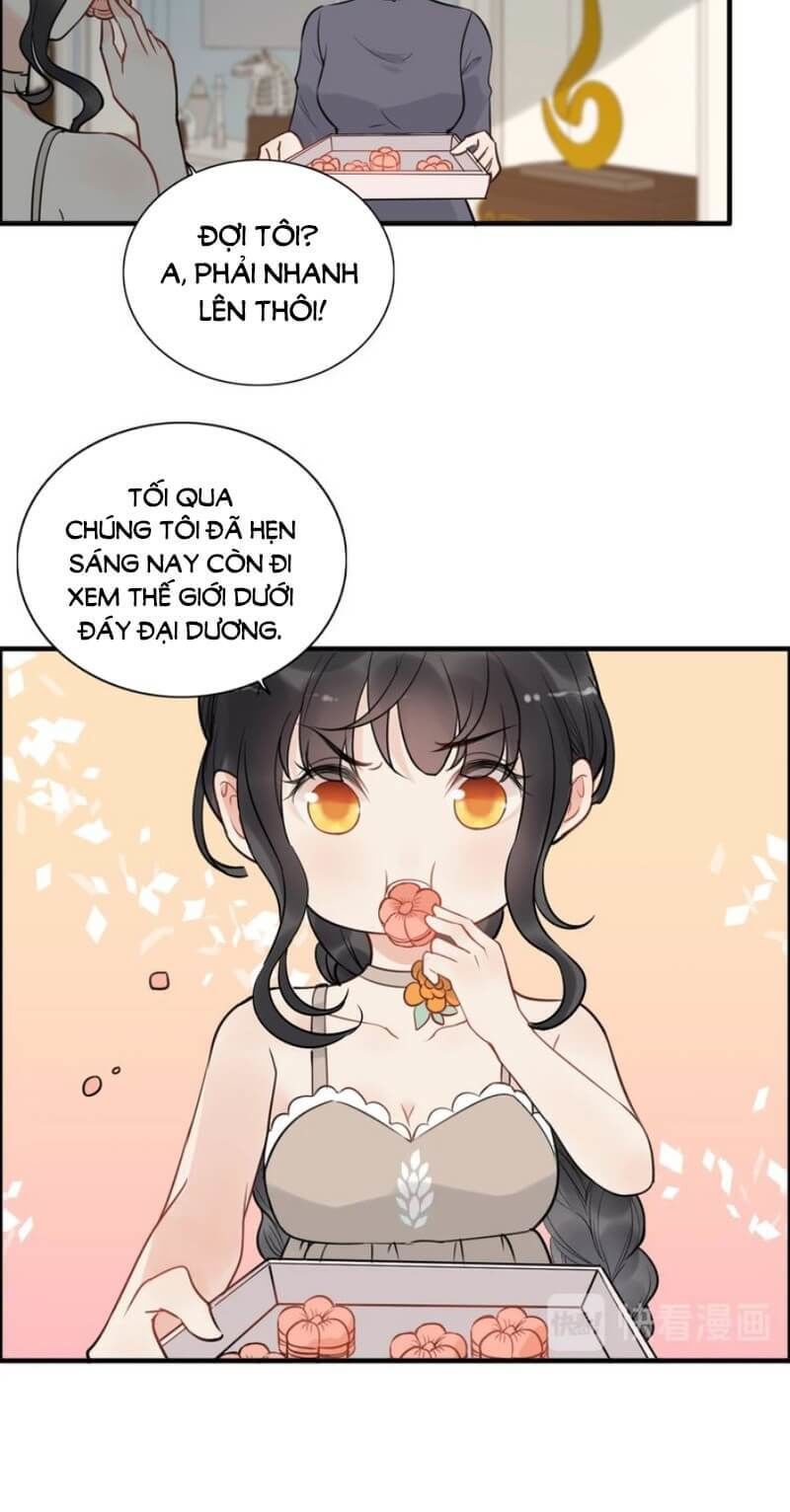 Cô Vợ Hợp Đồng Bỏ Trốn Của Tổng Giám Đốc Chapter 203 - 20