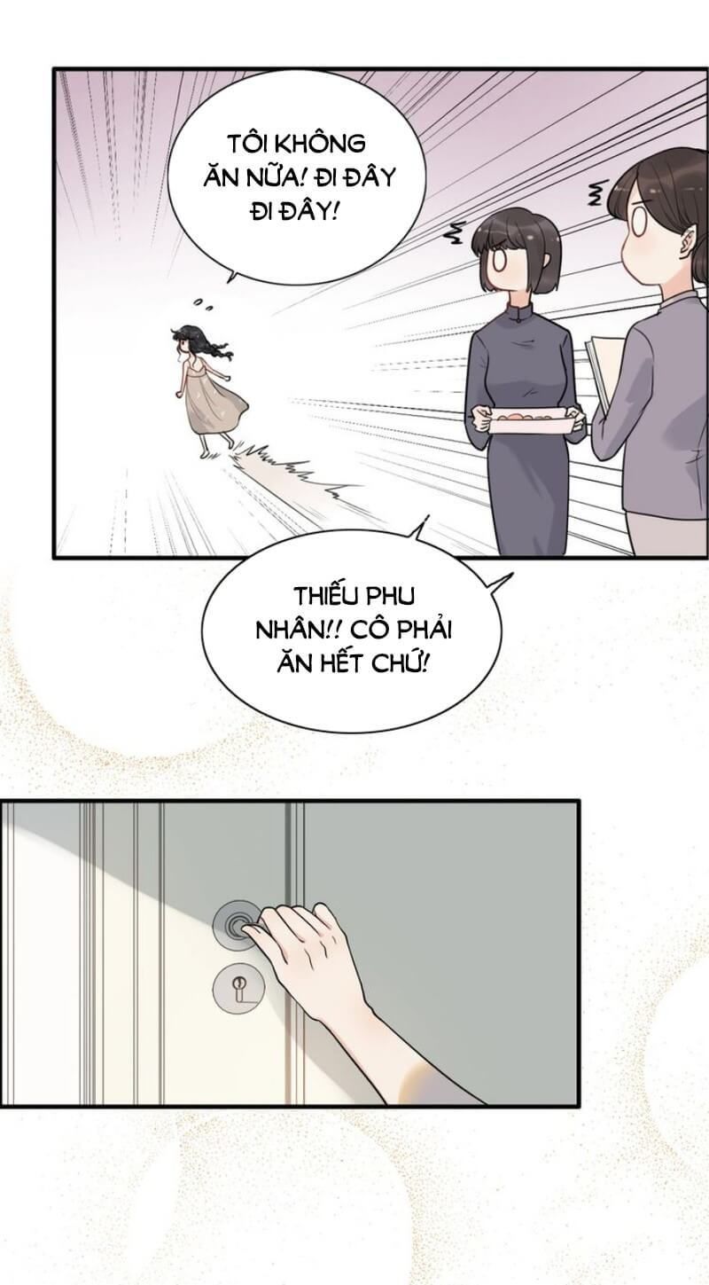 Cô Vợ Hợp Đồng Bỏ Trốn Của Tổng Giám Đốc Chapter 203 - 21