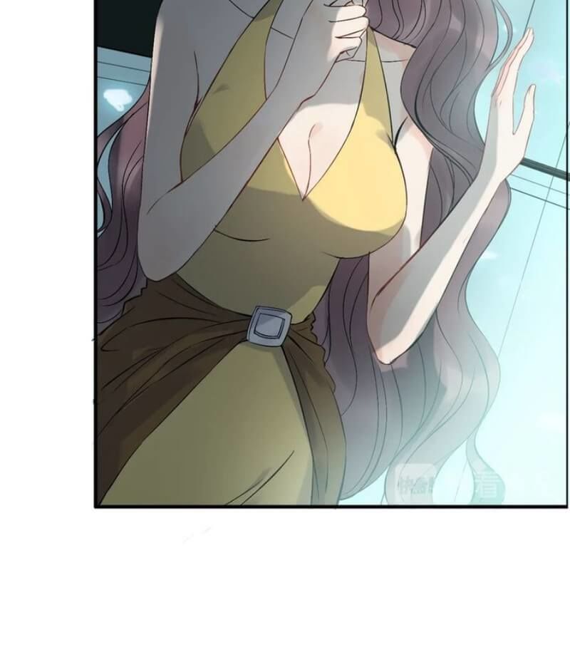 Cô Vợ Hợp Đồng Bỏ Trốn Của Tổng Giám Đốc Chapter 204 - 35