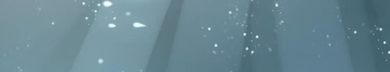 Cô Vợ Hợp Đồng Bỏ Trốn Của Tổng Giám Đốc Chapter 204 - 38