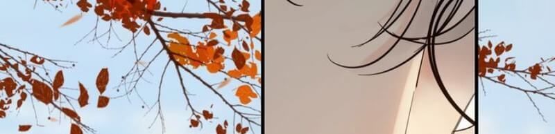 Cô Vợ Hợp Đồng Bỏ Trốn Của Tổng Giám Đốc Chapter 205 - 16