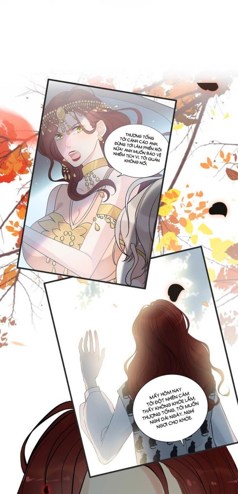 Cô Vợ Hợp Đồng Bỏ Trốn Của Tổng Giám Đốc Chapter 205 - 19