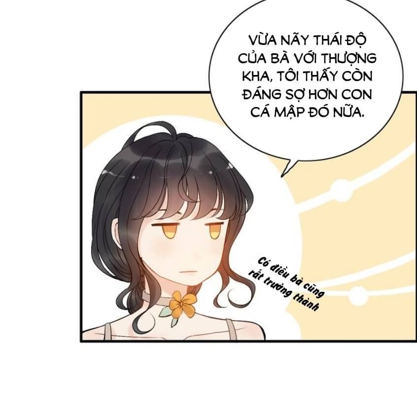 Cô Vợ Hợp Đồng Bỏ Trốn Của Tổng Giám Đốc Chapter 206 - 4