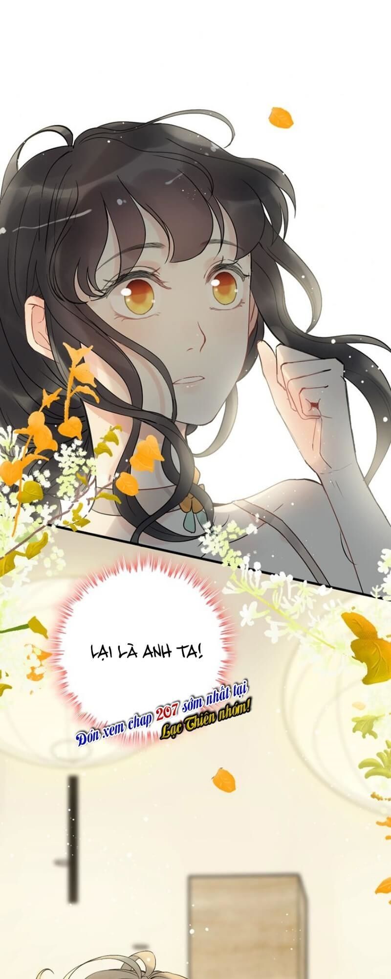 Cô Vợ Hợp Đồng Bỏ Trốn Của Tổng Giám Đốc Chapter 206 - 53