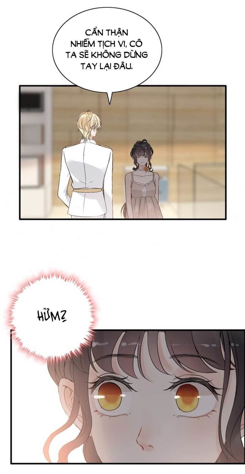 Cô Vợ Hợp Đồng Bỏ Trốn Của Tổng Giám Đốc Chapter 207 - 22