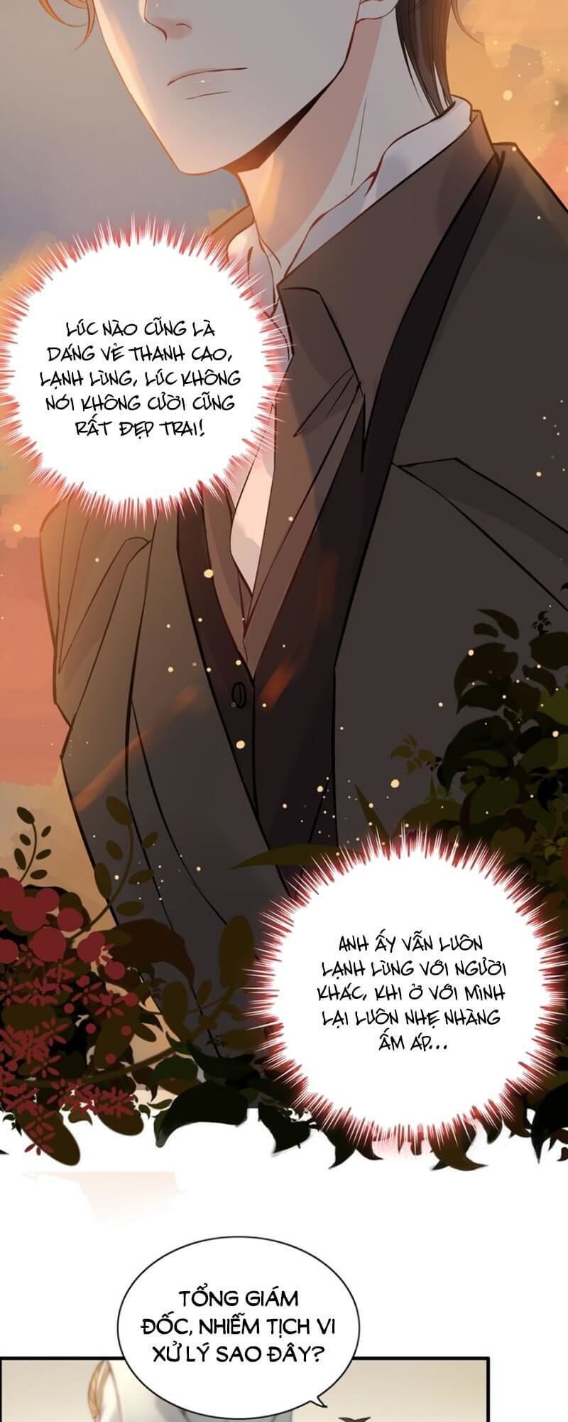 Cô Vợ Hợp Đồng Bỏ Trốn Của Tổng Giám Đốc Chapter 207 - 31