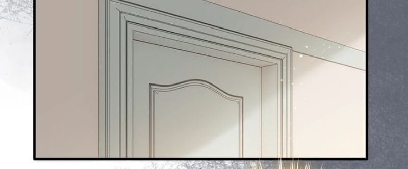 Cô Vợ Hợp Đồng Bỏ Trốn Của Tổng Giám Đốc Chapter 208 - 29