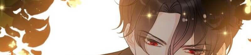 Cô Vợ Hợp Đồng Bỏ Trốn Của Tổng Giám Đốc Chapter 208 - 44