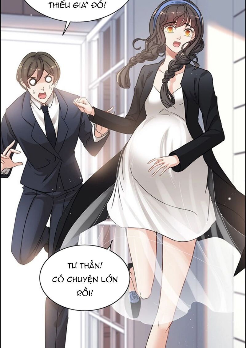 Cô Vợ Hợp Đồng Bỏ Trốn Của Tổng Giám Đốc Chapter 267 - 21