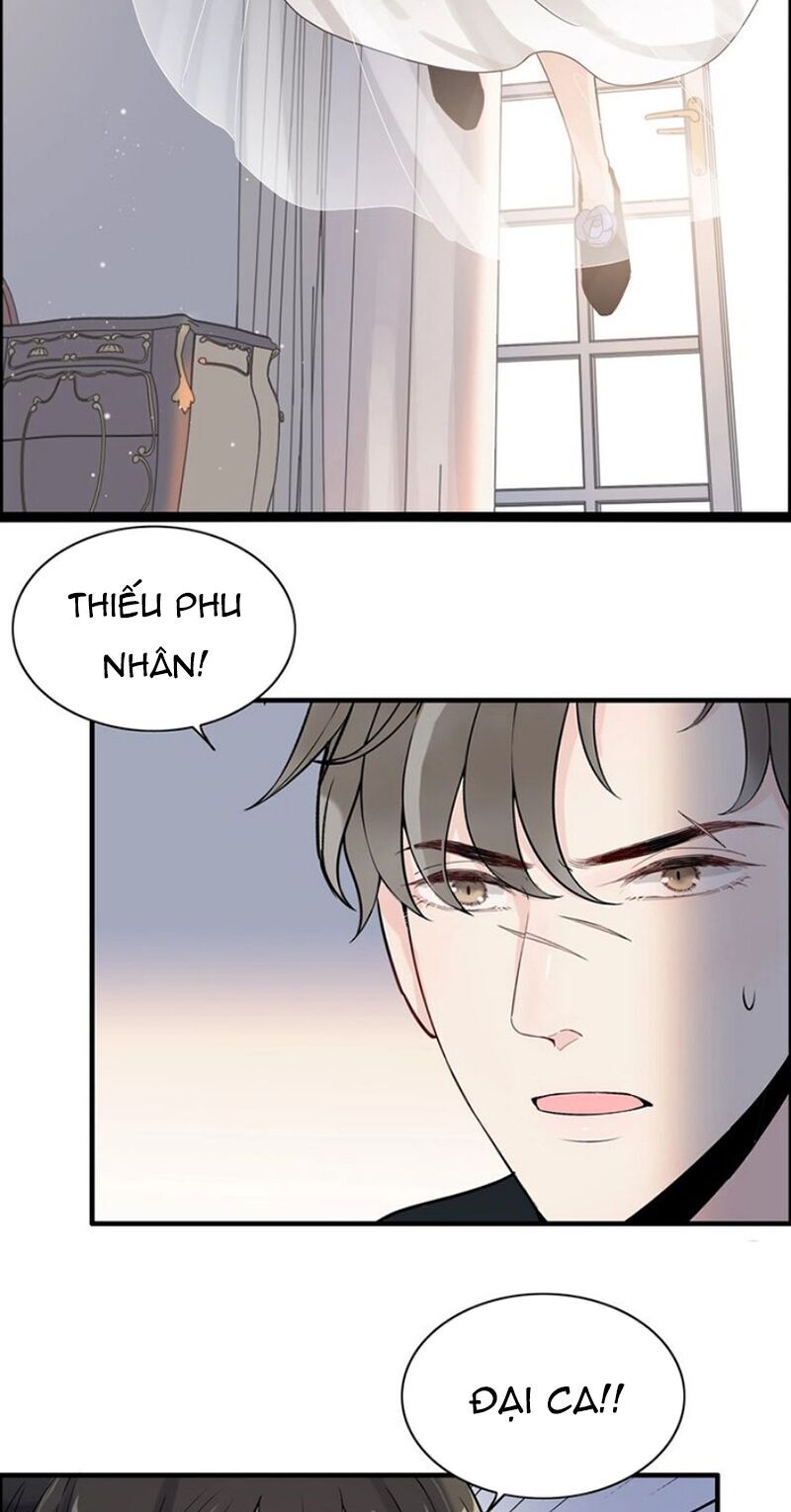 Cô Vợ Hợp Đồng Bỏ Trốn Của Tổng Giám Đốc Chapter 267 - 25